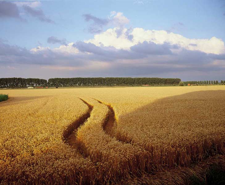 DORDRECHT fotografie