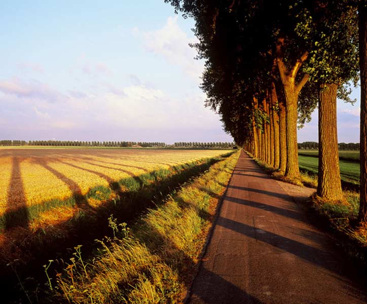 DORDRECHT fotografie