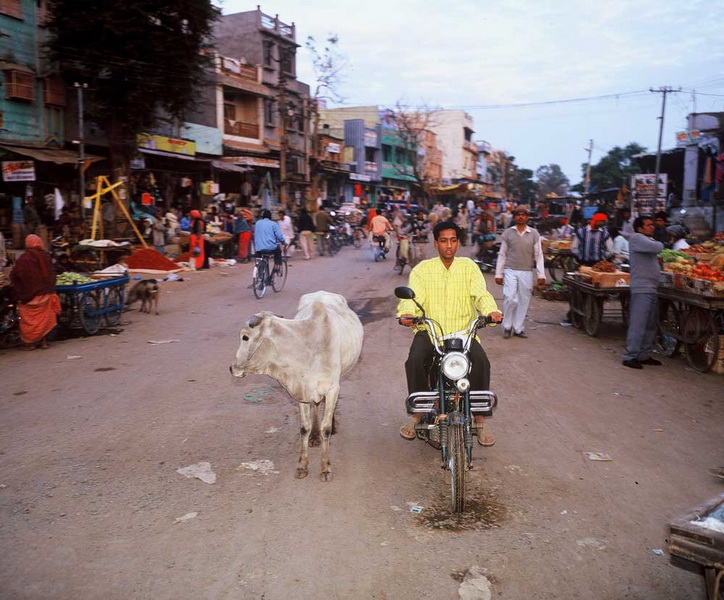 INDIA fotografie