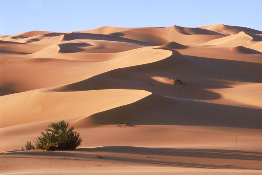 SAHARA fotografie