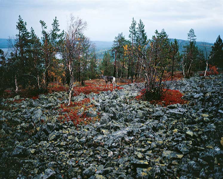 FINLAND fotografie