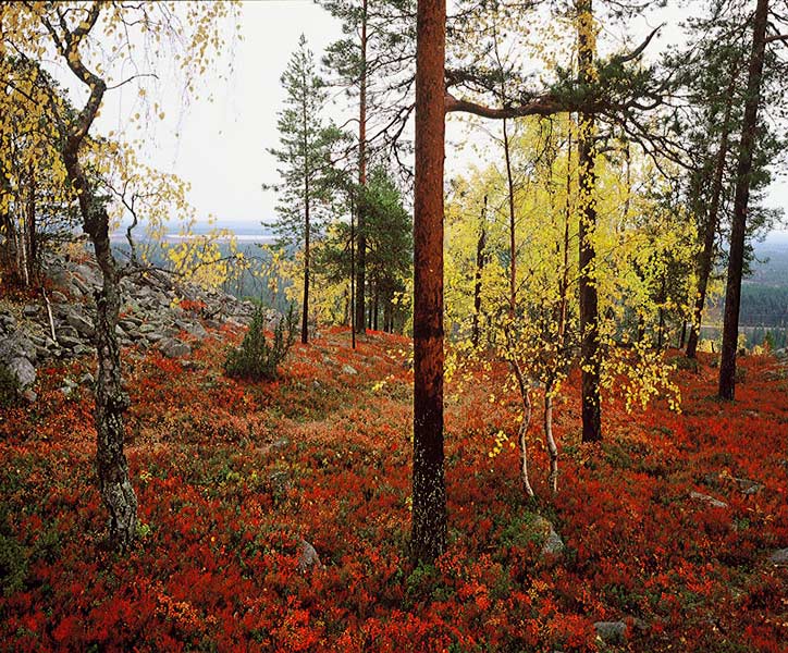 FINLAND fotografie